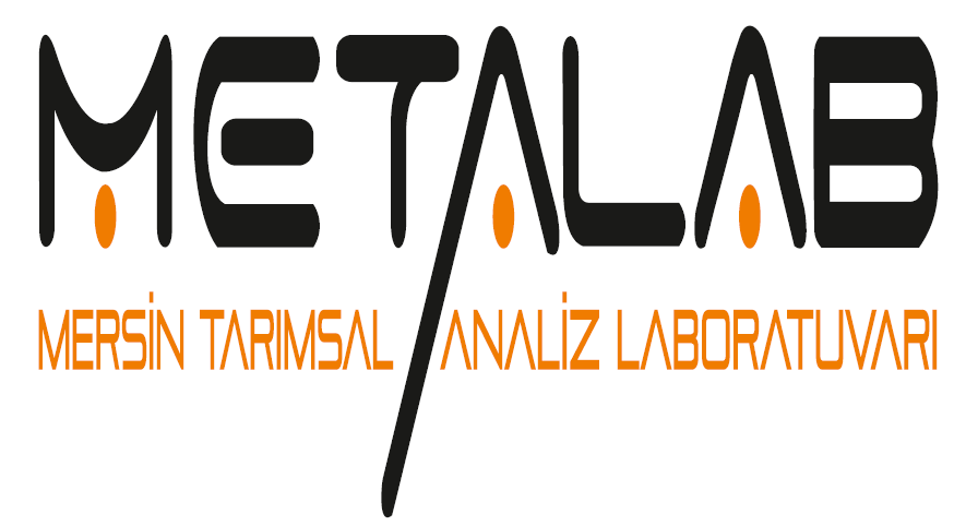 Metalab Logo