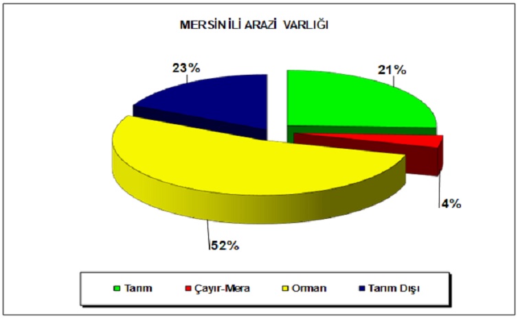 tarım